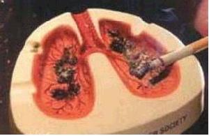 羊城晚报:世界无烟日从自己做起